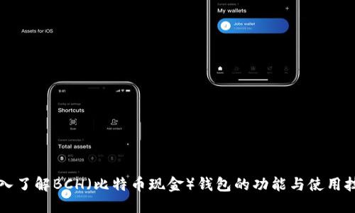 深入了解BCH（比特币现金）钱包的功能与使用技巧