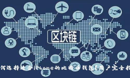 如何选择适合iPhone的比特币钱包？用户完全指南
