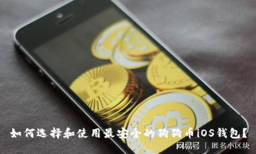 如何选择和使用最安全的狗狗币iOS钱包？