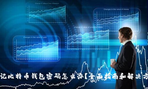 忘记比特币钱包密码怎么办？全面指南和解决方案