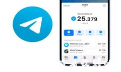   如何在TP钱包中查看收到的USDT？