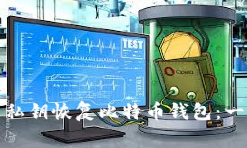 如何通过私钥恢复比特币钱包：一步步教程