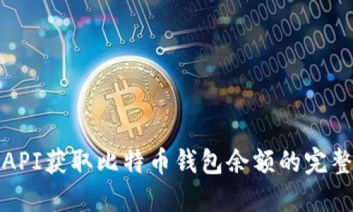 使用API获取比特币钱包余额的完整指南