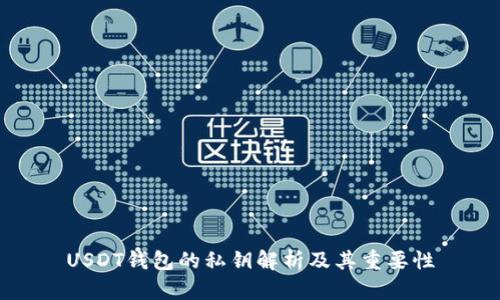 USDT钱包的私钥解析及其重要性