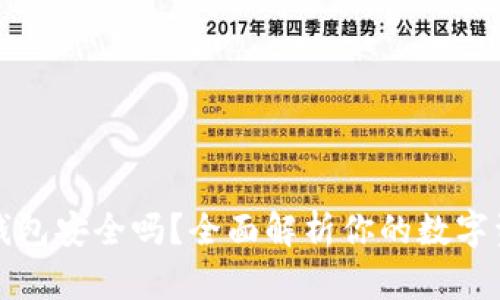 比特币钱包安全吗？全面解析你的数字资产保护