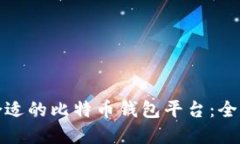 选择合适的比特币钱包平台：全面指南
