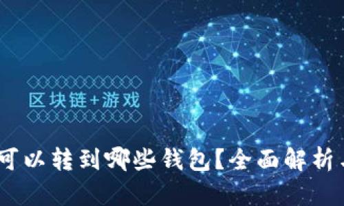 USDT可以转到哪些钱包？全面解析与推荐