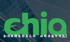 如何选择适合自己的犇比特币电子钱包？