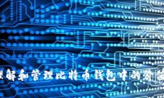 如何理解和管理比特币钱包中的价值显示？