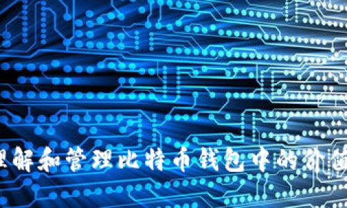 如何理解和管理比特币钱包中的价值显示？