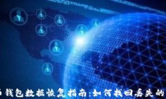 比特币钱包数据恢复指南：如何找回丢失的比特