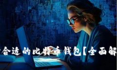 如何选择合适的比特币钱包？全面解析与推荐