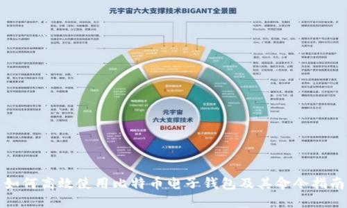 如何高效使用比特币电子钱包及其命令指南