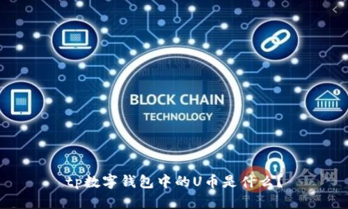 tp数字钱包中的U币是什么？
