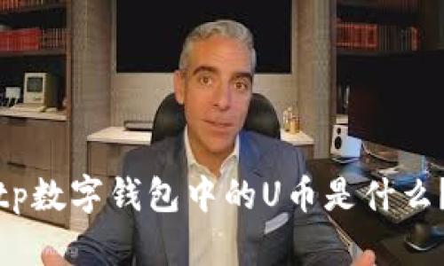 tp数字钱包中的U币是什么？