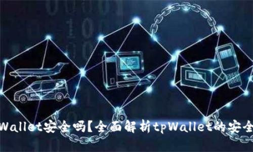 把币放tpWallet安全吗？全面解析tpWallet的安全性与风险