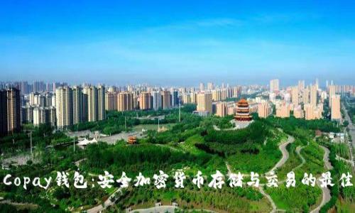 理解Copay钱包：安全加密货币存储与交易的最佳选择