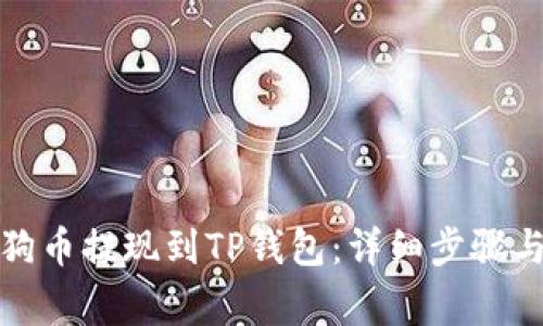 如何将狗狗币提现到TP钱包：详细步骤与注意事项